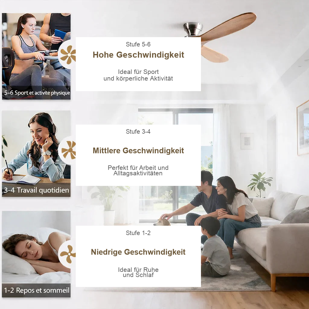 Nordkapp | Ventilator mit Beleuchtung LED dunklem Holz und Schwarz