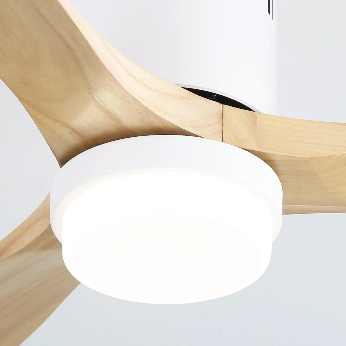 Miami | Deckenventilator 132cm Aura - Flügel Holz & LED integriert